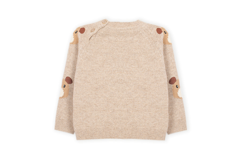 Dr. Kid gebreide trui beige – achterkant met knopen op schouder, berenprint